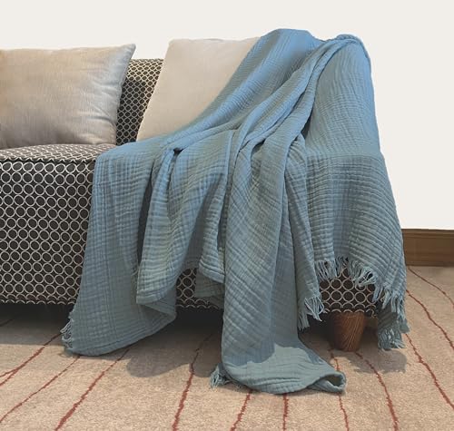 HOSUKKO 15 lbs Cute Dinosaur Weighted Blanket