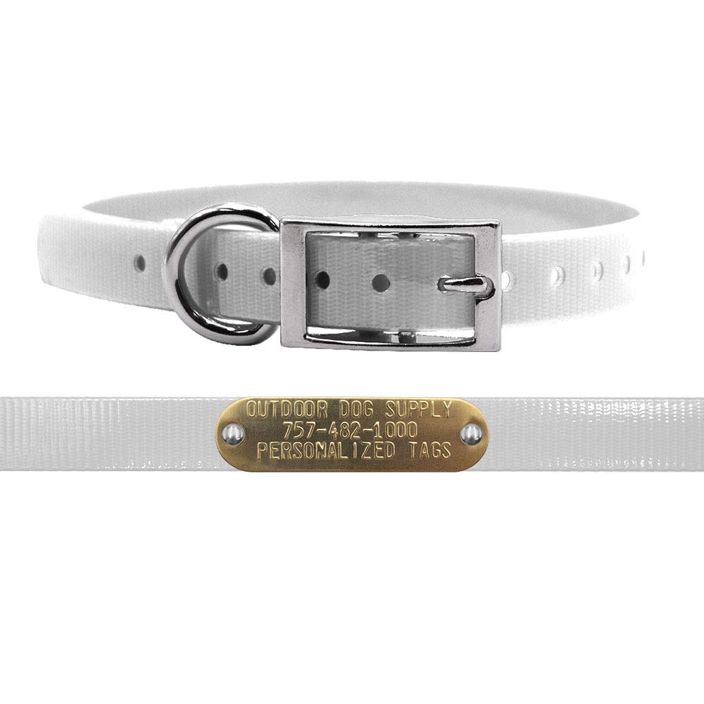 Light Weight Waterproof D-Ring Dog Collar