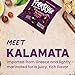Freestyle Snacks Olive Snack Packs - 24 Pack Variety - Original Green, Hot & Spicy, Lemon Garlic, and Kalamata - Grown in Greece, All Natural, Non-GMO, Paleo, Sugar-Free, Keto Snack, 1.1oz (24 Pack)