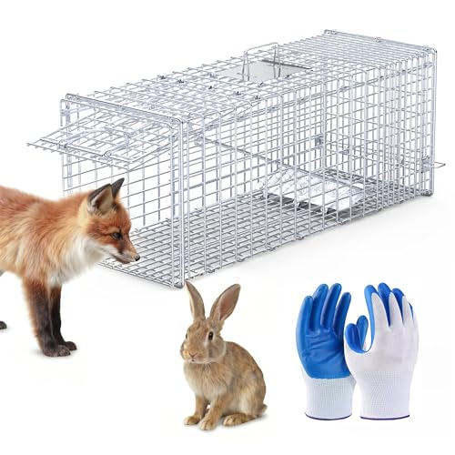 Humane Animal Cage Trap Foldable Large Live Cage Trap for Squirrels/Stray Cats/Foxes Easy Catch & Release Reusable Indoor/Outdoor 37x14x15
