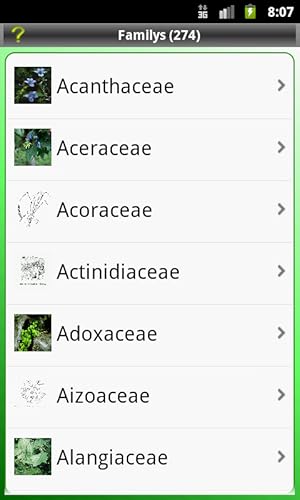 Key: Plant Families