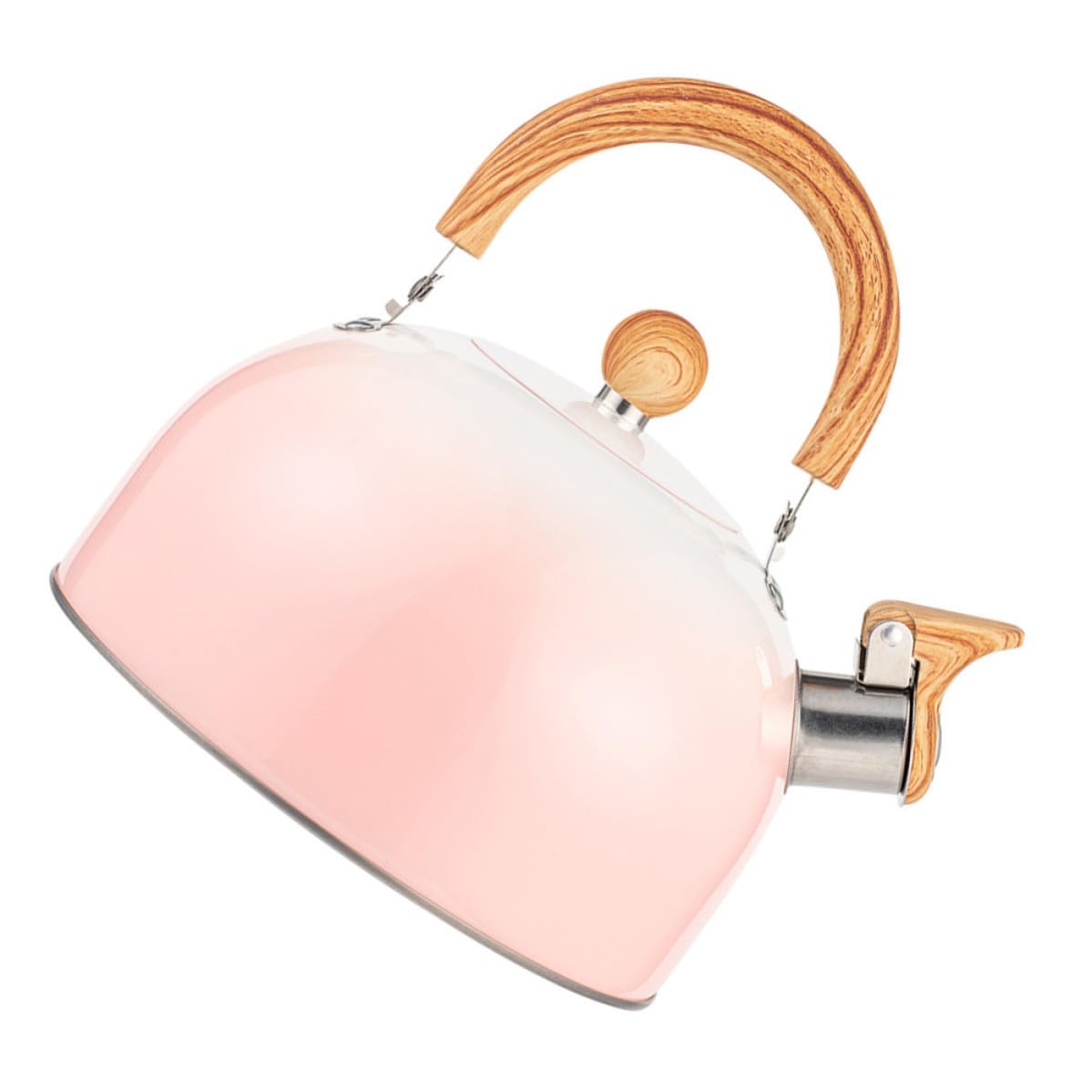 Bouilloire à sifflet 3l en acier inoxydable avec poignée PVC