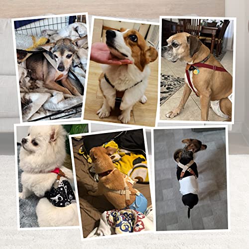 Image of Pet Soft Dog Suspenders 2 Pieces Female Dog Diaper Suspenders for Dogs Diaper Keeper Suspender for Skirt, Dress, Diapers (Black & Pink, XS /S)