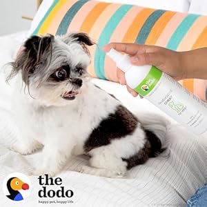 The Dodo Deodorizing Shampoo & Spray Twin Pack for Dogs; 12oz Deodorizing Dog Shampoo + 12oz Deodorizing Dog Spray with Charcoal; Vegan, Cruelty-Free, No DEA, MEA, SLS or Parabens