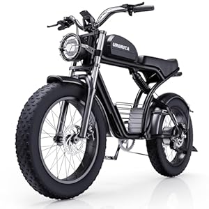 Urbrica Electric Bike for Adults, 1500W 30MPH,48V 20/23AH,Max 75Miles Electric Motorcycle 20″ Fat Tire Dirt Bike, Shamano 7-Speed E-Bike Dual Shock Absorber UL Certified