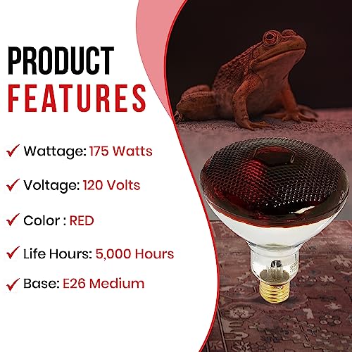 Bulbmaster Heat Lamp Flood Light Bulbs Infrared Reflector Incandescent Medium E26 Base (175/Par38/Red/2Pk) #TOP3