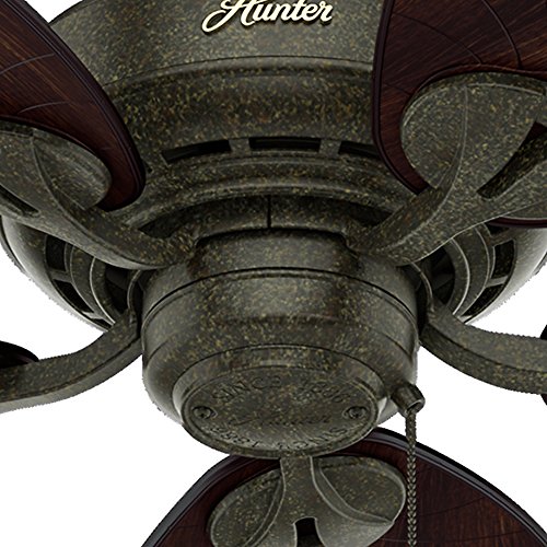 Hunter Fan Company Hunter 54098 Tropical/British Colonial 54``Ceiling Fan From Bayview Collection In Bronze/Dark Finish, Provencal Gold #TOP6
