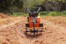 Review Image by james