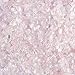 Top Plaza Natural Rose Quartz Tumbled Chips Crushed Stones Reiki Healing Quartz Crystals Irregular Shaped Gemstones 0.45lb