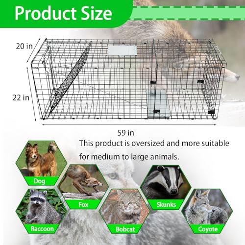 Heavy Duty Live Trap 59x20x22 Inch Extra Large Steel Collapsible with Humane Trap Release Door for Large Dogs, Foxes, Coyotes, Bobcats and Other Live Animals.