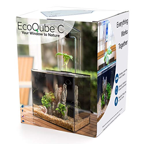 EcoQubeC Aquarium - Desktop Betta Fish Tank For Living Office And Home Décor