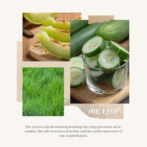 Image of Airkeep Reed Diffuser Set,3.38 fl oz (100 ml) - Cucumber Melon Oil Diffusers with 8 Reed Sticks, Home Fragrance Reed Diffuser for Bathroom Shelf Decor