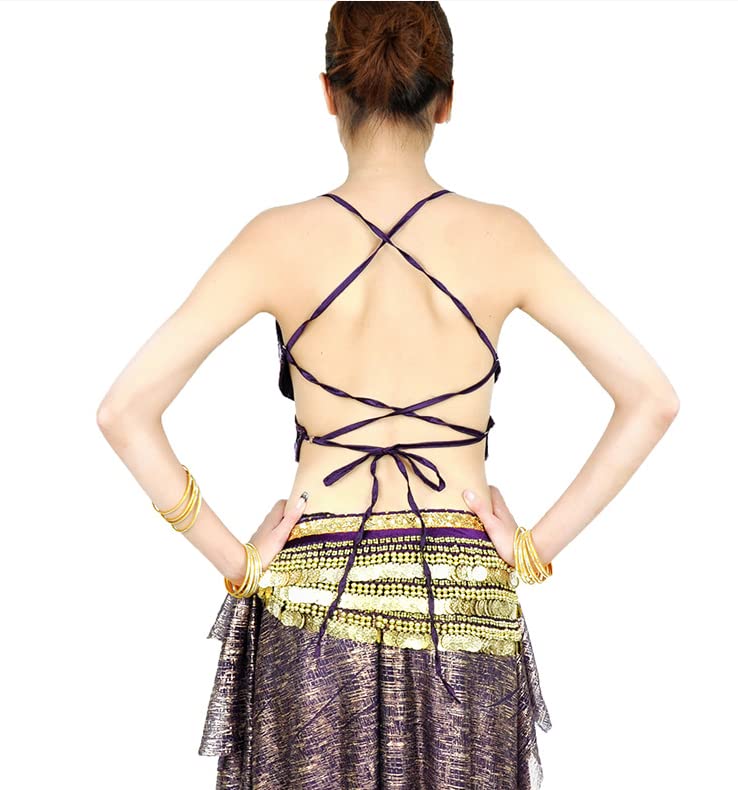 Belly Dance Costumes Women's Sequin Tank Tops Sexy Nightclub Party Bras Stage Performance Dance Costumes Skirt Purple