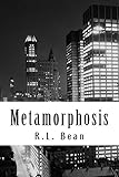  Metamorphosis (Transcend Book 1) (English Edition)