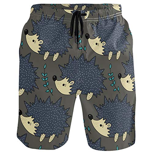 visesunny Men's Beach Short Swim Trunks Vintage Cute Hedgehog Sports Running Bathing Suits