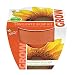Buzzy 95519 Sunflower Mini Grow Pot