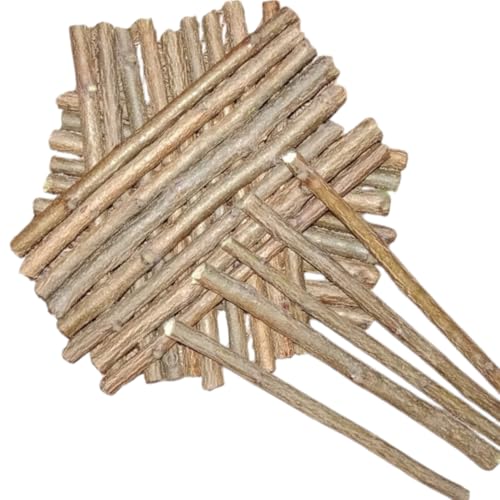 Image of Ayurvedic Natural Organic Neem Datun Toothbrush, Twigs Chew Sticks for Brushing Teeth Removes Bad Breath, Relieve Tooth Ache, Healthy Collected in The Wild. (Pack of 40)