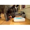 Sure Petcare - SureFeed - Motion Activated Sealed Pet Bowl - NOT Microchip Activated