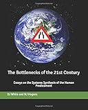 The Bottlenecks of the 21st Century: Essays on the Systems Synthesis of the Human Predicament