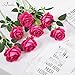 Serwalin 20pcs Artificial Roses, 4'' Big Flower Head, Hot Pink Roses Velvet Real Touch, Silk Fake Roses Long Stem Realistic Bouquet for Wedding Table Centerpiece and Home Decor