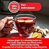 Akshit Natural Hibiscus Ginger Tea, 75 Tea Bags (5... #1