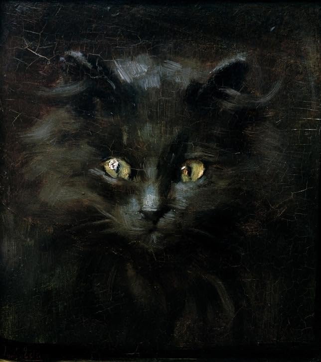 Tableau d'art chat Julius affiche toile décoration murale SERENDIPITP 60x90