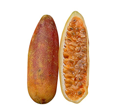 See full amazon price history chart for Nema Rare Banana Passion Fruit Seeds - 20 Pcs Nema Rare Banana Passion Fruit Seeds - 20 Pcs (B08NSKR6RG) Amazon Price History, Amazon Price Tracker