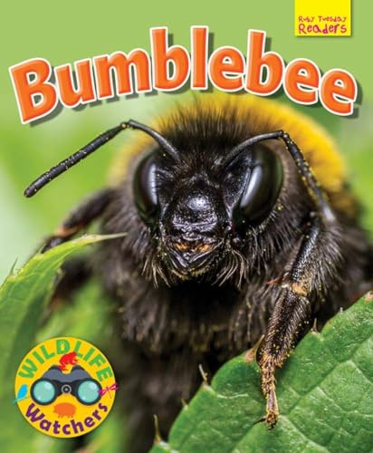 Image of Wildlife Watchers: Bumblebee 2017 (Ruby Tuesday Readers)