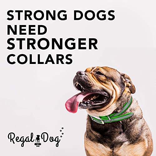 Regal Dog Products Large Lime Green Heavy Duty Reflective Dog Collar With Durable Metal Buckle And D Ring | Adjustable, Chew Proof & Waterproof Dog Collar | Other Sizes For Small & Large Dogs #TOP2