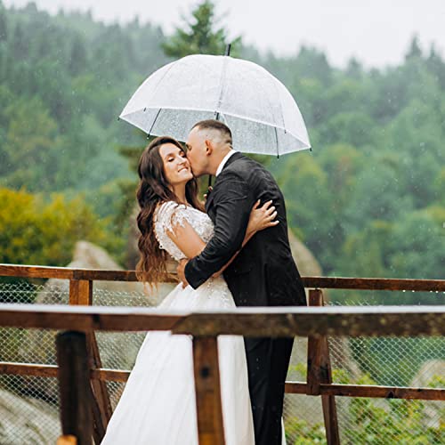 R.horse 6 Pcs 46 Inch Clear Bubble Umbrella J Handle Automatic Open Umbrellas Large Transparent Windproof Waterproof Stick Umbrella For Men And Women Wedding Ceremony Event (Black Handle) #TOP4