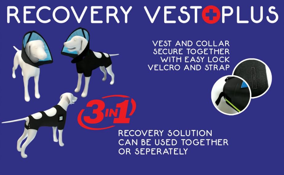 Image of Recovery Vest Plus w Detachable Collar (Large)