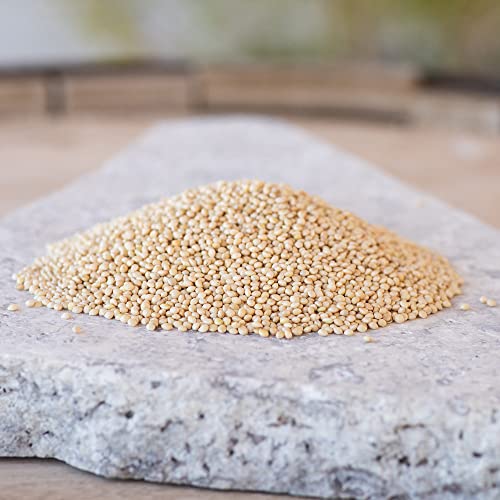 Desert Valley Premium White Millet Proso Seeds - Wild Bird Food, Cardinal, Finches & More (10-Pounds) #TOP2