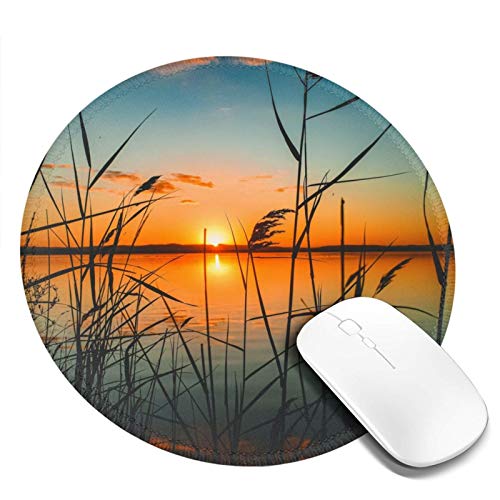 }EXpbh ی^ [  AV  ʐ^  h ~ S Q[~O}EXpbh m[gp\R PC Eh}EXpbh fXN}bg ϋvǂ ItBXp rWlXp ƒp Q[p ~` 20cm