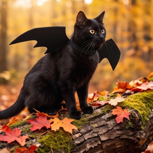 Dark Halloween Bat Wing Style Cat Costumes for Halloween Cosplay Party - image 9