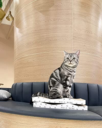 Poils Bebe Cat Scratcher, Cardboard Reversible Cat Scratching Pad Large Wide Corrugated Modern Sofa Bed With Catnip (Pack Of 4) #TOP5
