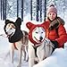2 Stück Hundemütze, shallyong Hundewarme Kopfbedeckungen, Winter Haustier Schal, Kostüm Hund, Hunde Geschenke, Hunde Warm Halten Zum Wandern und Camping, Schwarz S