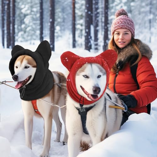 2 Stück Hundemütze, shallyong Hundewarme Kopfbedeckungen, Winter Haustier Schal, Kostüm Hund, Hunde Geschenke, Hunde Warm Halten Zum Wandern und Camping, Schwarz S