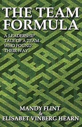 The Team Formula - A Leadership Tale of a Team That Found Their Way book cover
