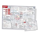 Anorganik Basics: DIN A4, laminiert Lerntafel
