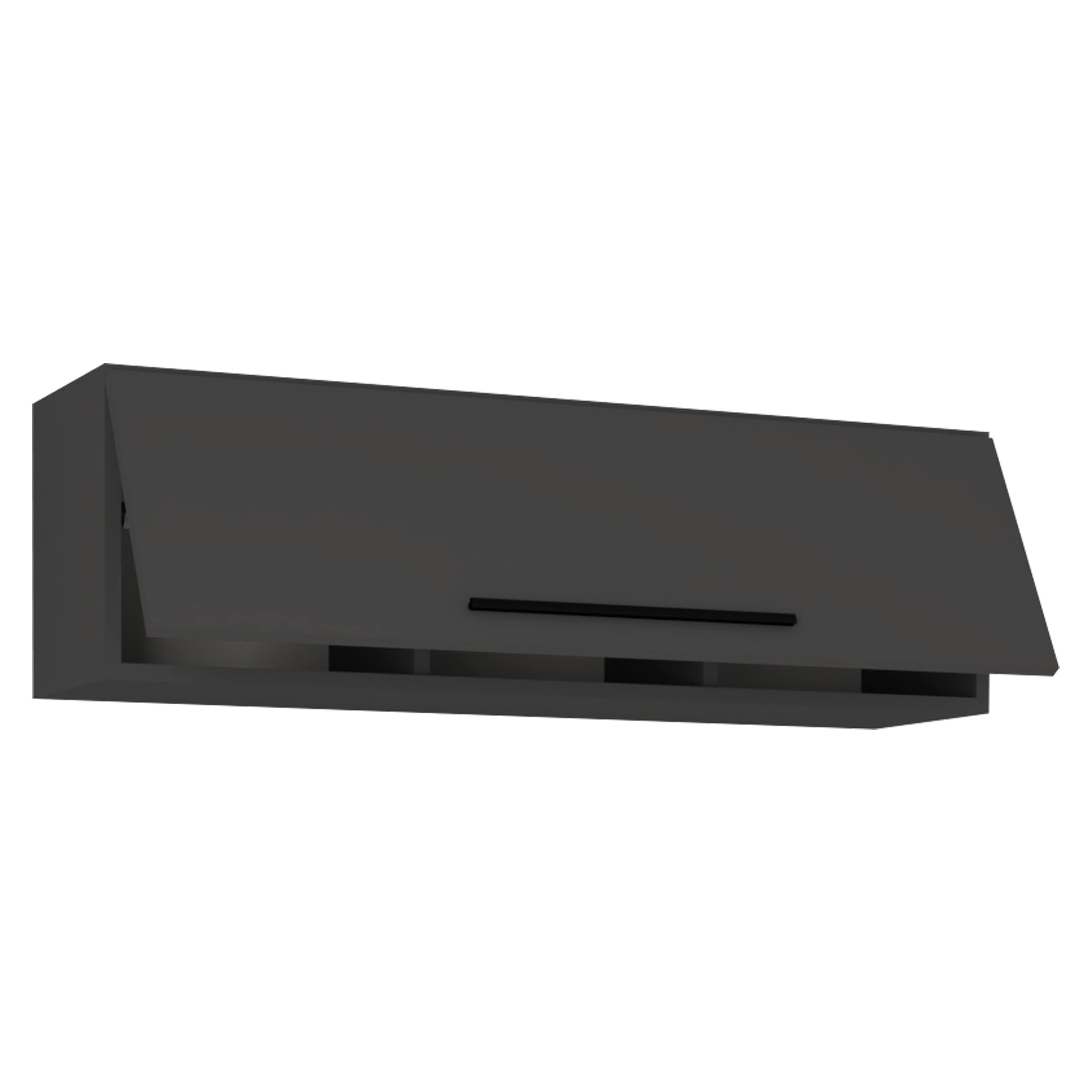VCM Holzregal hängend | platzsparendes Regal | Maße: H. 30 x B. 95 x T. 30 cm | Elegantes Regal hängend | Aufbewahrungsregal | Bücherregal | Wandboard - Arila L Anthrazit
