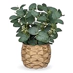 Briful Kunstpflanze Eukalyptus Deko, Künstliche Eukalyptus im Topf Dekopflanze Zimmerpflanzen, Höhe 28 cm