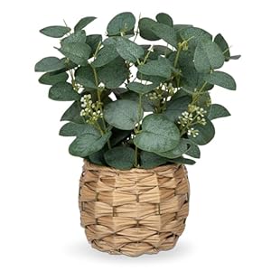 Briful Kunstpflanze Eukalyptus Deko, Künstliche Eukalyptus im Topf Dekopflanze Zimmerpflanzen, Höhe 28 cm