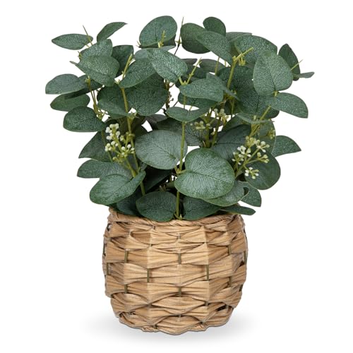Briful Kunstpflanze Eukalyptus Deko, Künstliche Eukalyptus im Topf Dekopflanze Zimmerpflanzen, Höhe 28 cm