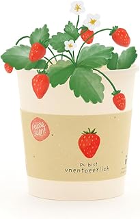 Erdbeer-Anzuchtset als liebevolles Geschenk | Anzuchtbecher mit Erdbeer-Saatgut, Kokos-Quelltablette & Anleitung | Nachhaltige Geschenkidee für Liebesbotschaften, Geburtstage & Wertschätzung