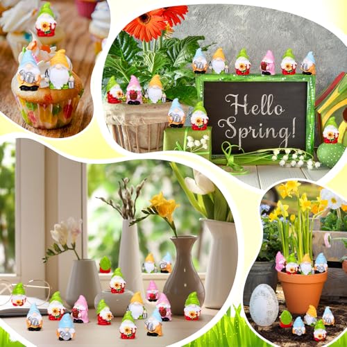 Set de 40 Mini Figuras de Gnomo en Resina para Jardín miniatura 3