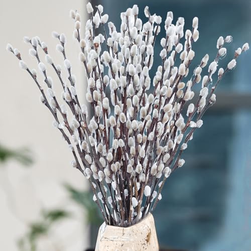 Oning 30 Stems Real Dried Pussywillow Preserved Greenery Branches for Vase- Natural Pussywillows with White Flowers 16-17 Snow Willow Branches for Easter Wedding Home Party Hotel Fireplace Decor