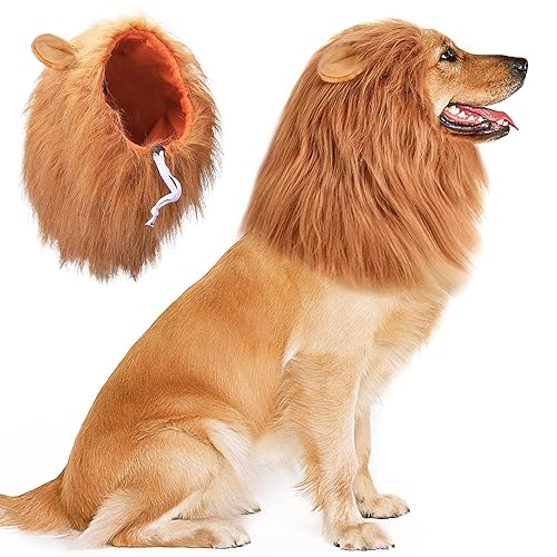 ComfyCamper Krabben-Kostüm Für Hunde – Elastisches Halsband, Größe M, Orange, Für Halloween & Fotos
