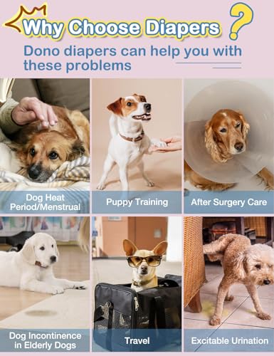 Dono Hundewindeln für Hündinnen, 10 Stück, Hunde Windeln Weiblich mit elastischem Bund, Pull-up-Hundewindeln, super saugfähig, L (34-54 cm)