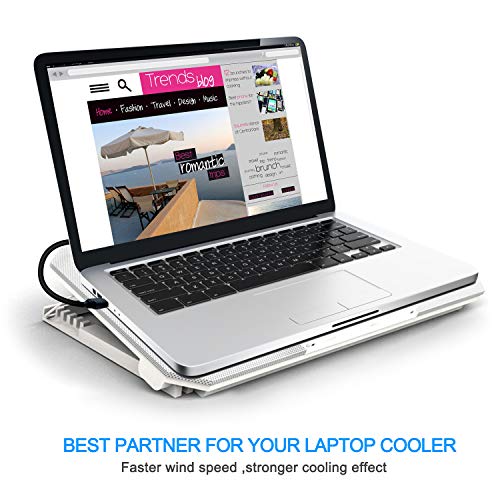 Jelly Tang Usb 3.0 A To A Male Cable 3Ft,Usb To Usb Cable Usb Male To Male Cable Usb Cord With Gold-Plated Connector For Hard Drive Enclosures, Dvd Player, Laptop Cooler (3Ft/1M) #TOP6