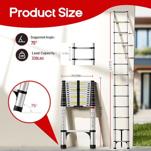 Multi-Position Telescoping Ladder